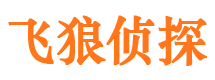 米易私家调查公司